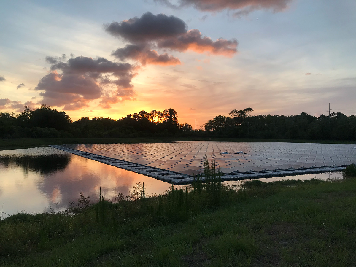 Wild solar and equitable grids