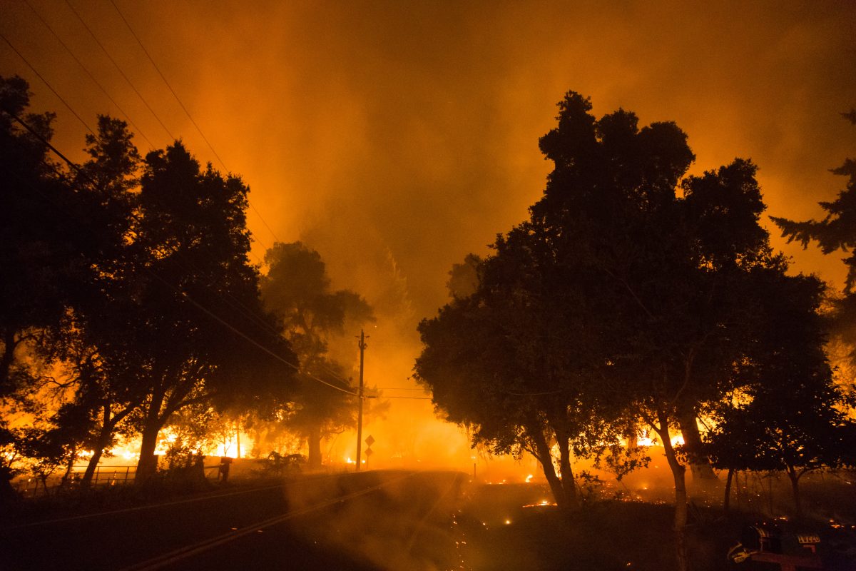 Oak trees, a fence, and power poles lining a paved, two-lane road are silhouetted by orange light and smoke emanating from a fire burning in the middle distance.